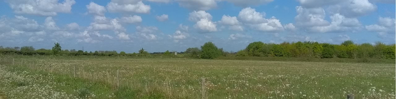 Green Space Learning